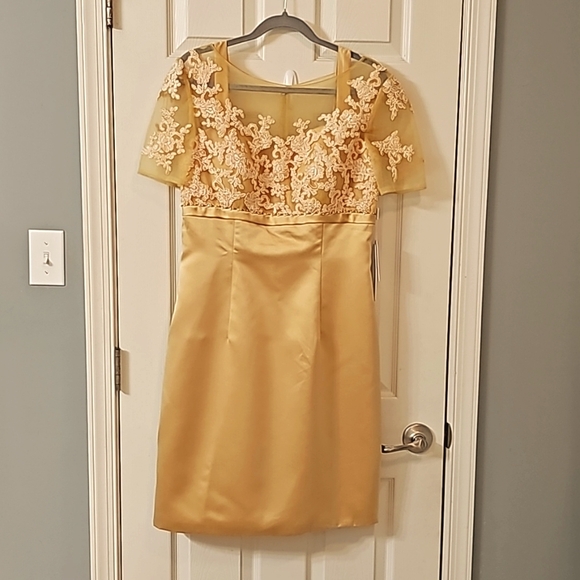 JJs House satin skirt delicate lace-embroidered bodice sheer short sleeves. - Picture 6 of 16